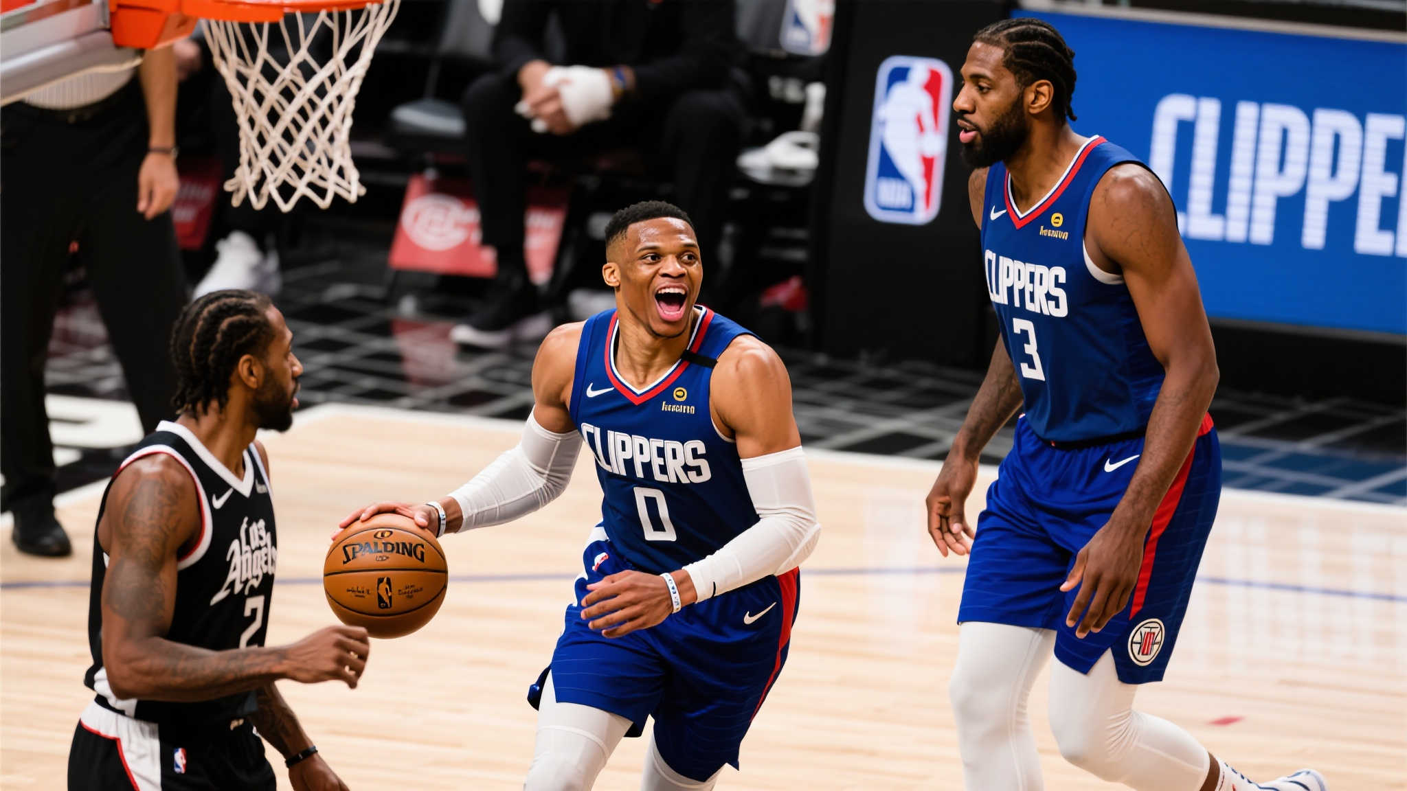 他们选择了 他们选择了